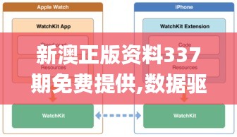 新澳正版资料337期免费提供,数据驱动决策执行_10DM8.608-2