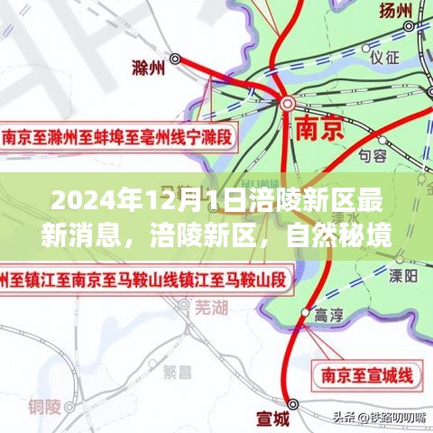 虎视眈眈 第29页