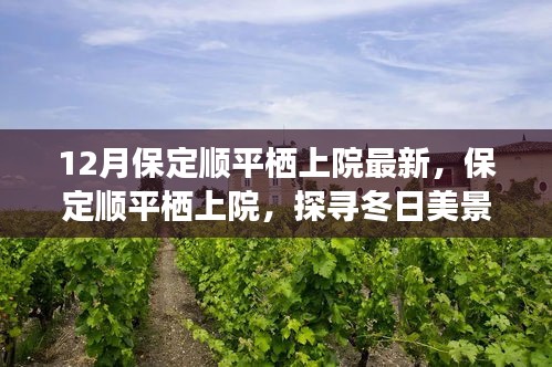 肝胆相照 第28页