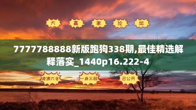 7777788888新版跑狗338期,最佳精选解释落实_1440p16.222-4