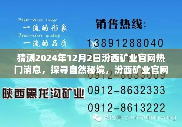 九死一生 第27页