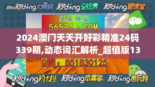 2024澳门天天开好彩精准24码339期,动态词汇解析_超值版133.563-2