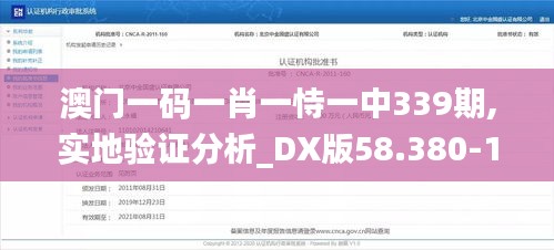 澳门一码一肖一恃一中339期,实地验证分析_DX版58.380-1