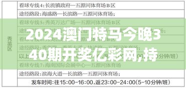 2024澳门特马今晚340期开奖亿彩网,持续计划解析_T95.320-1