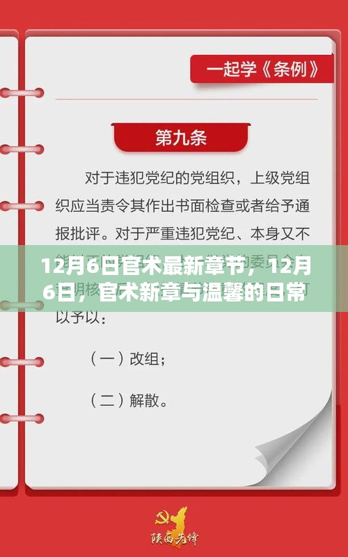 官术最新章节揭晓，日常温馨与12月6日新章揭秘