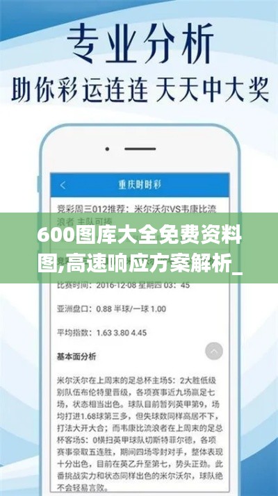 600图库大全免费资料图,高速响应方案解析_户外版18.542