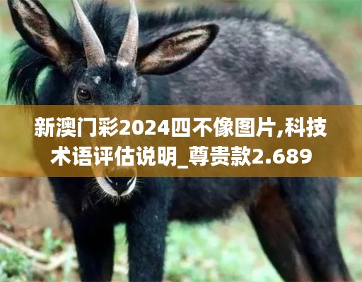 新澳门彩2024四不像图片,科技术语评估说明_尊贵款2.689