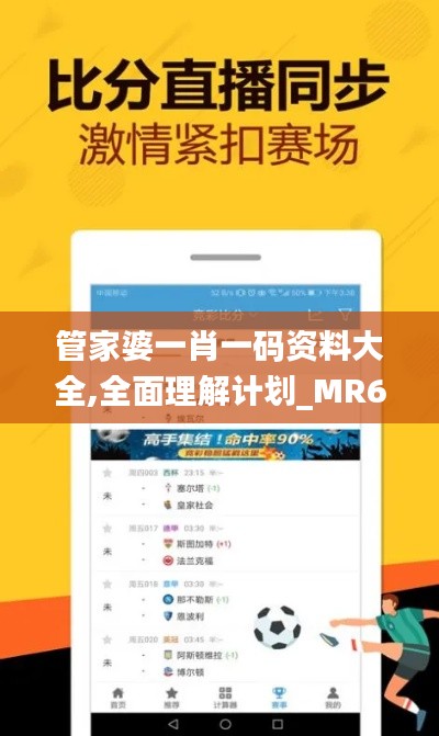 管家婆一肖一码资料大全,全面理解计划_MR6.168