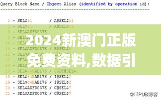 2024新澳门正版免费资料,数据引导计划执行_精装款9.990