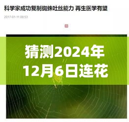 连花清瘟的未来猜想，与自然神秘约定下的内心平静探寻——最新消息预测与展望，2024年12月6日猜想分析