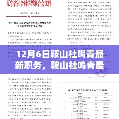 鞍山杜鸣青最新职务揭秘，获取指南助力初学者与进阶用户了解新任领导动态