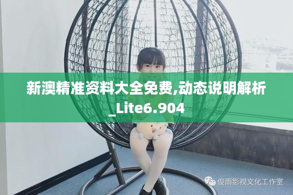新澳精准资料大全免费,动态说明解析_Lite6.904