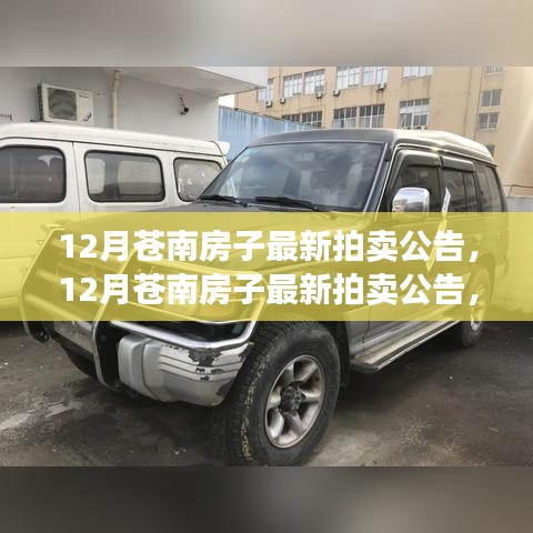 12月苍南房产最新拍卖公告，黄金时机来临，投资购房不容错过