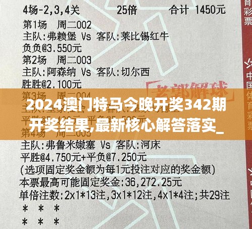 2024澳门特马今晚开奖342期开奖结果,最新核心解答落实_复刻版3.700