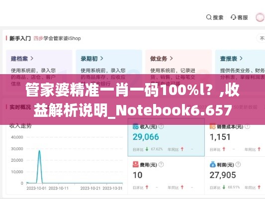管家婆精准一肖一码100%l？,收益解析说明_Notebook6.657