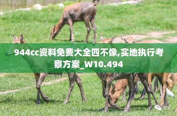 944cc资料免费大全四不像,实地执行考察方案_W10.494