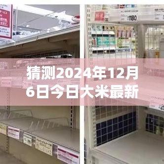 2024年大米价格预测，探索新纪元，揭秘最新大米价格走势