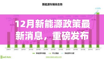 智能新能源产品时代体验之旅，揭秘十二月新能源政策新动向与重磅发布消息