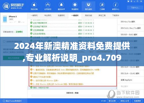 2024年新澳精准资料免费提供,专业解析说明_pro4.709