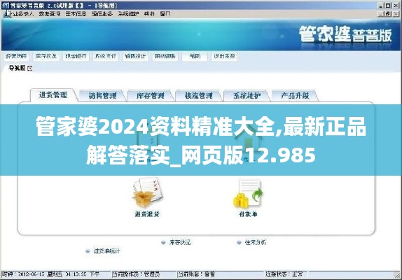管家婆2024资料精准大全,最新正品解答落实_网页版12.985