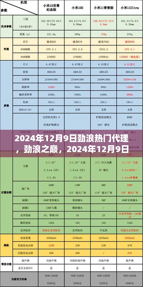 劲浪热门代理崛起，劲浪之巅与影响，2024年12月9日