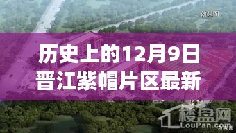 最新消息揭秘
