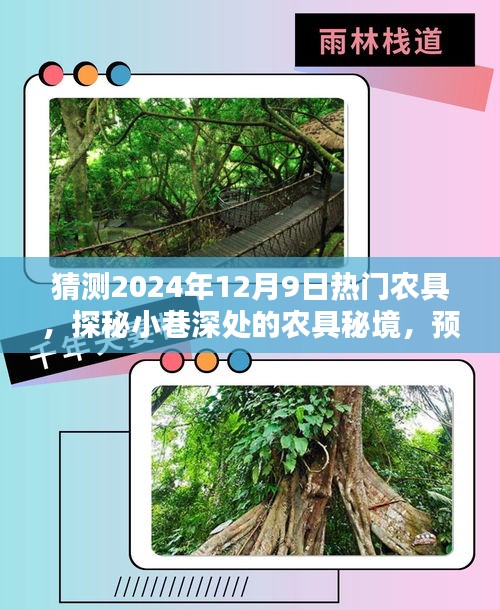 探秘未来农具新潮，预测2024年12月9日热门农具揭秘与探秘小巷深处的农具秘境