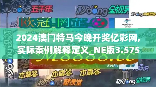 2024澳门特马今晚开奖亿彩网,实际案例解释定义_NE版3.575