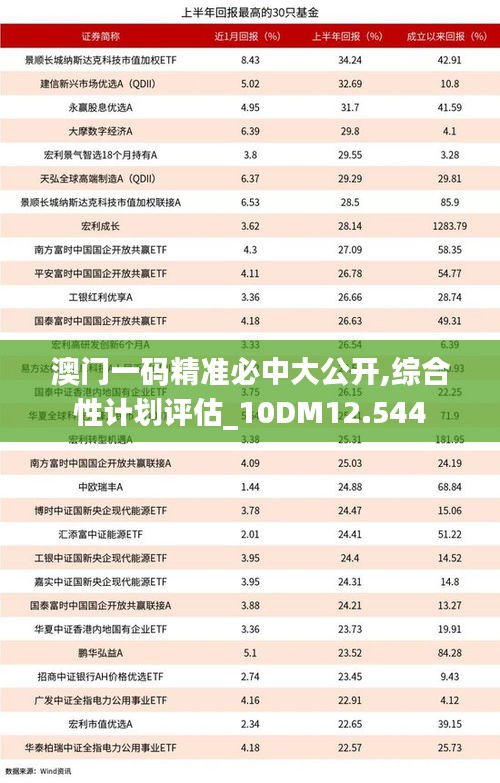 澳门一码精准必中大公开,综合性计划评估_10DM12.544