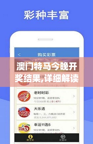 澳门特马今晚开奖结果,详细解读解释定义_钻石版1.472