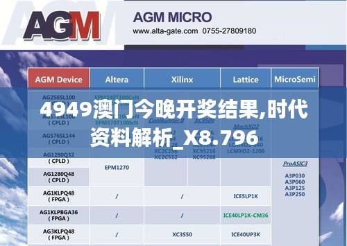 真独简贵 第3页