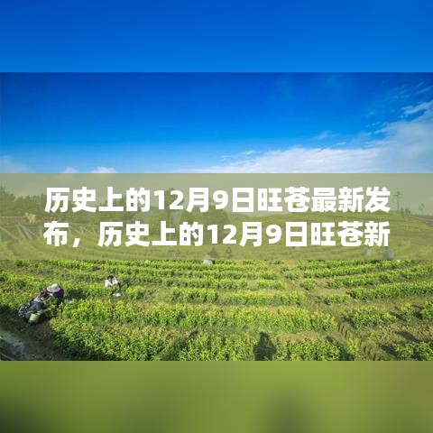 张牙舞爪 第24页