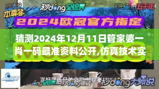 猜测2024年12月11日管家婆一肖一码最准资料公开,仿真技术实现_CT6.882