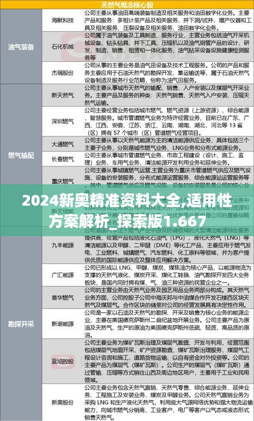2024新奥精准资料大全,适用性方案解析_探索版1.667
