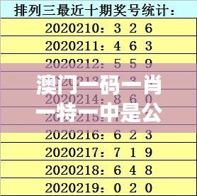 澳门一码一肖一特一中是公开的吗？深度剖析其规则