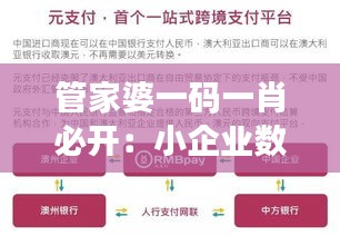 管家婆一码一肖必开：小企业数字化的便捷通道