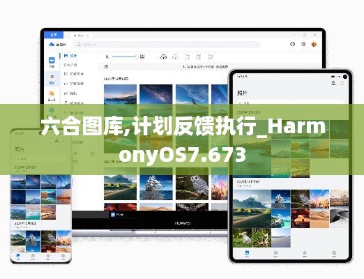 六合图库,计划反馈执行_HarmonyOS7.673