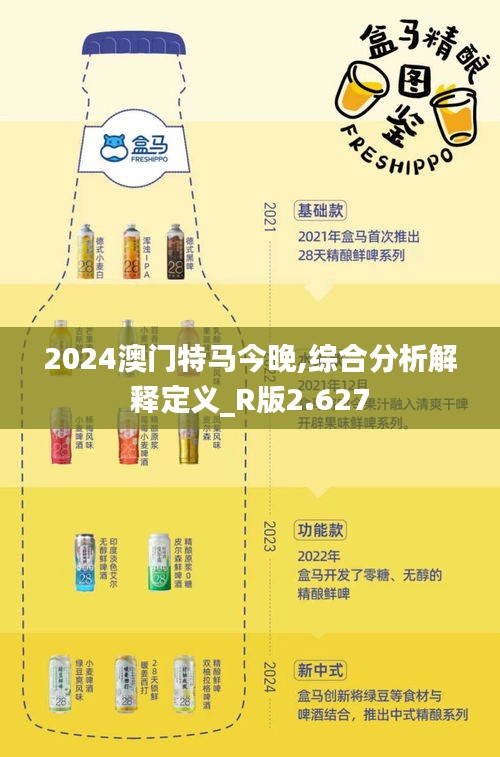 2024澳门特马今晚,综合分析解释定义_R版2.627
