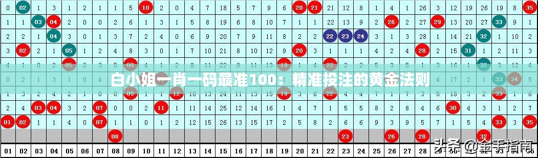 白小姐一肖一码最准100：精准投注的黄金法则