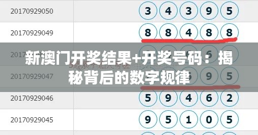 新澳门开奖结果+开奖号码：揭秘背后的数字规律