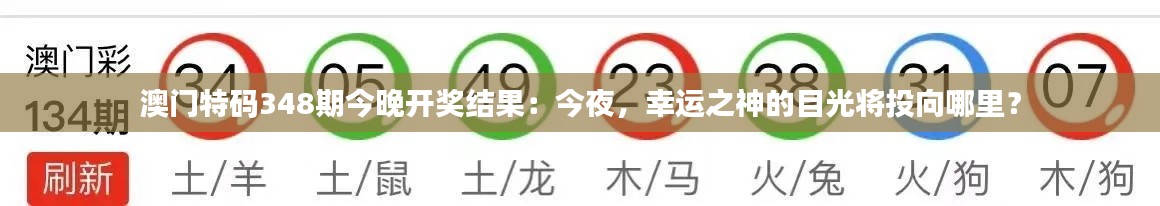澳门特码348期今晚开奖结果：今夜，幸运之神的目光将投向哪里？