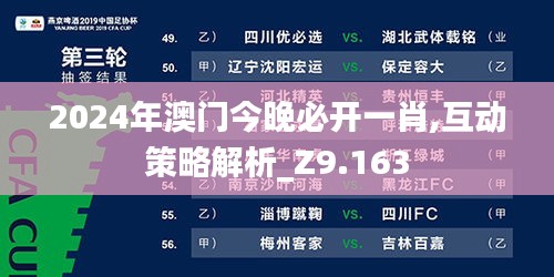 2024年澳门今晚必开一肖,互动策略解析_Z9.163