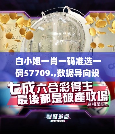 白小姐一肖一码准选一码57709.,数据导向设计解析_VR9.314