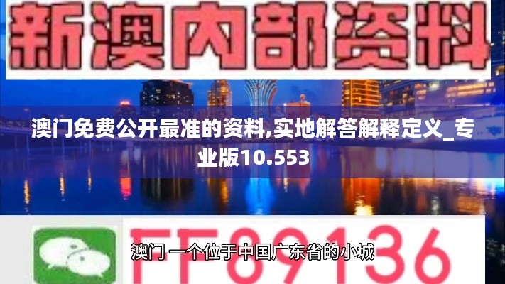 澳门免费公开最准的资料,实地解答解释定义_专业版10.553
