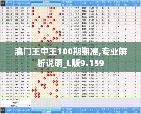 澳门王中王100期期准,专业解析说明_L版9.159