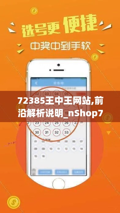 72385王中王网站,前沿解析说明_nShop7.345