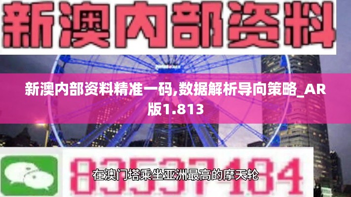 新澳内部资料精准一码,数据解析导向策略_AR版1.813