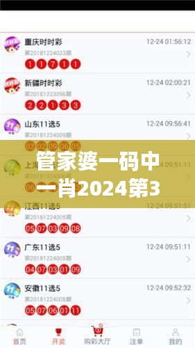 管家婆一码中一肖2024第349期：彩票界的新风向标