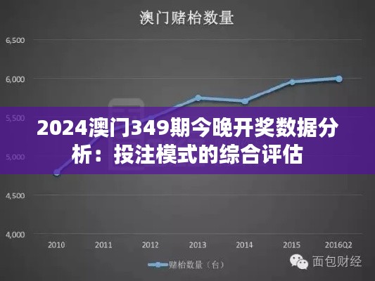 2024澳门349期今晚开奖数据分析：投注模式的综合评估