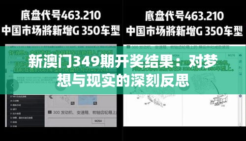 新澳门349期开奖结果：对梦想与现实的深刻反思